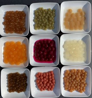 BioBoba mycoprotein production system