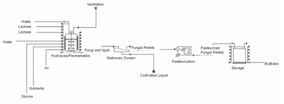 BioBoba production process modeled in SuperPro Designer