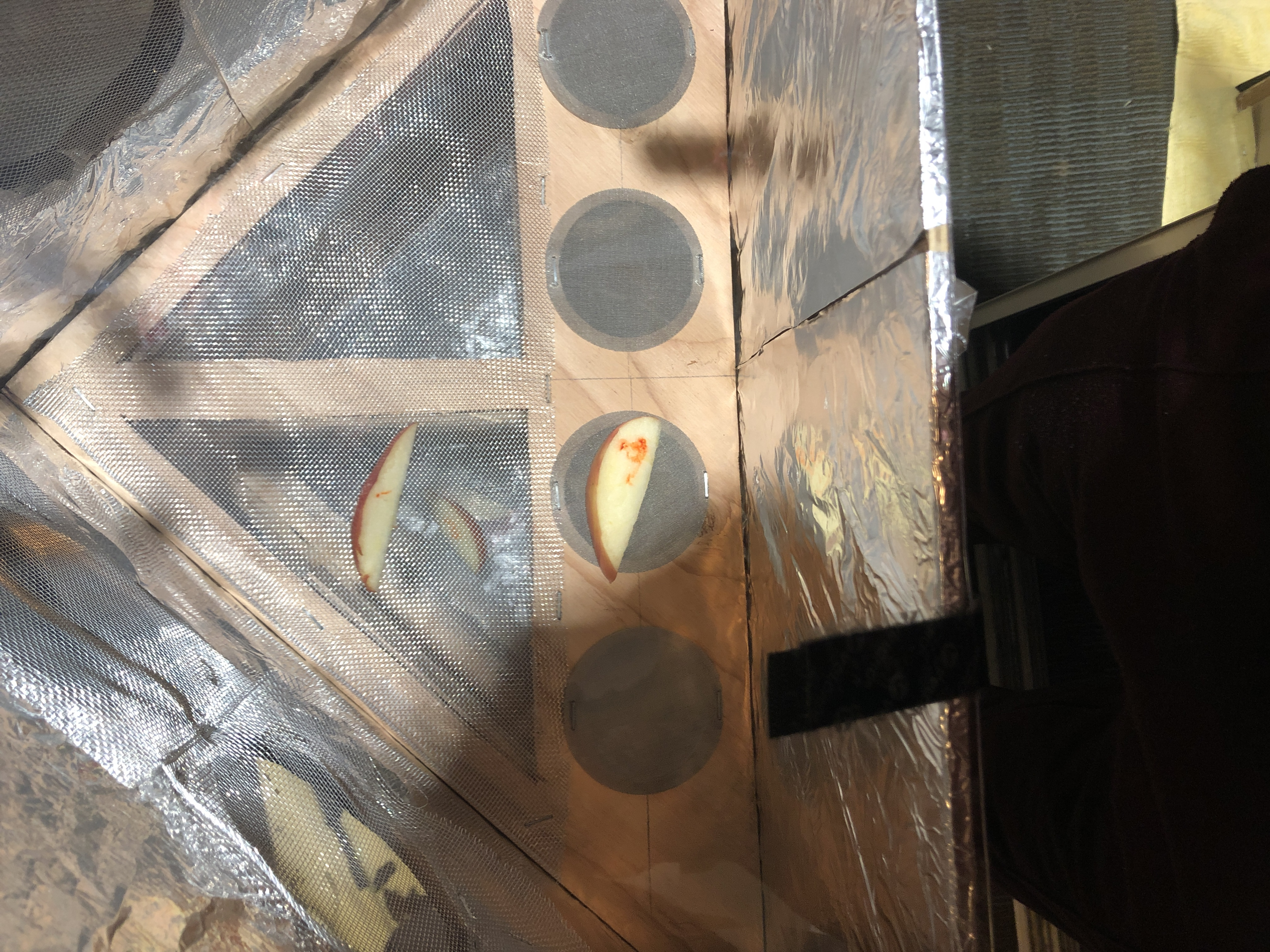 Food dehydrator prototype testing